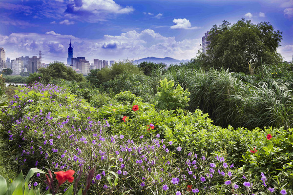 ▲▼馬場町紀念公園。(圖/北市工務局提供)