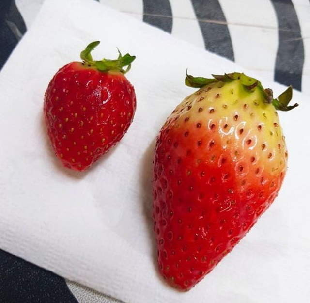 ▲韓國超商賣巨無霸草莓。（圖／翻攝自外網，insight）