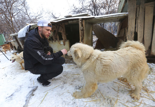 ▲▼            平昌冬奧美國滑雪選手Gus Kenworthy參訪南韓食用狗養殖場 。（圖／達志影像／美聯社）