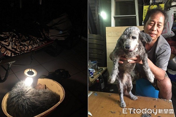 ▲ 無法爬上房間爸陪年邁狗睡1樓廚房 網淚推:太有心!