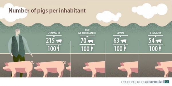 ▲▼ 歐盟國家愛養豬有1.5億頭　丹麥居然「豬比人多」！。（圖／翻攝自歐洲統計局）