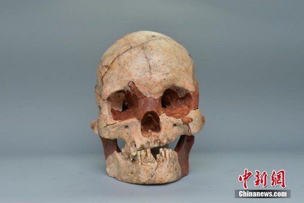 ▲▼廣西發現1.6萬年前人類頭骨化石（圖／翻攝自中新網）