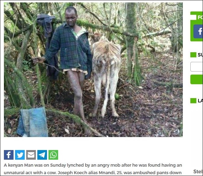 ▲肯亞一名男子性侵母牛，被村民活活打死。（圖／翻攝自ghafla）