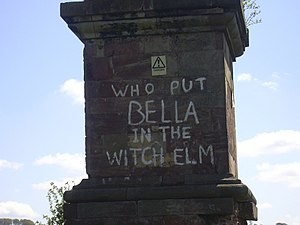 樹洞「卡」神秘女屍　隔年牆上都是這句話：是誰把貝拉放榆樹下？（圖／wikipedia）