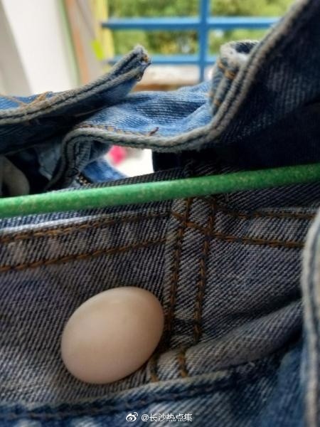 ▲▼湖南女大生的褲子上有斑鳩下的蛋。（圖／取自「長沙熱點集」）