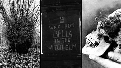 樹洞「卡」無名女屍　牆上神秘文字質問：是誰把貝拉放榆樹裡