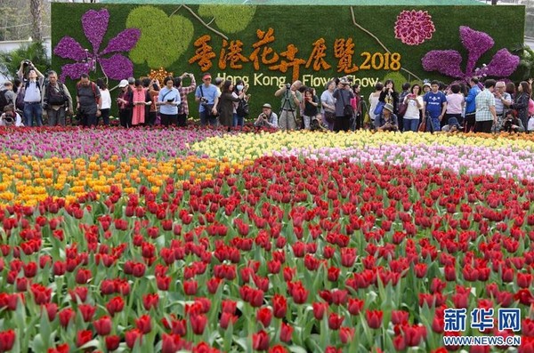 ▲▼香港市民在花卉展覽上參觀拍攝。（圖／翻攝自新華網）
