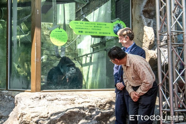 猩猩寶寶歡送會。（圖／台北市立動物園提供）