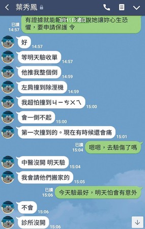 案發前2日，葉秀鳳和大嫂起爭執，葉秀鳳在與友人Line中表示計畫驗傷收集證據。