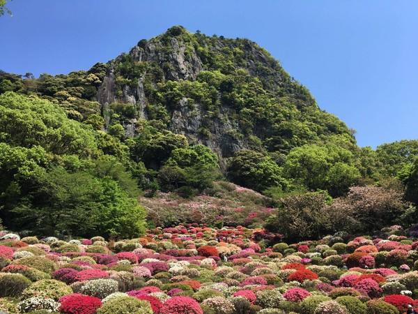 ▲台灣虎航開通日本佐賀定期包機，以經營日本線見長的五福旅遊營運看旺。圖為 日本九州佐賀的御船山樂園。（圖／五福旅遊提供）