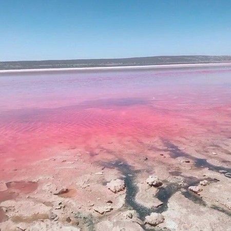 ▲西澳粉紅湖pink lake。（圖／旅遊小編的碎碎念日記）