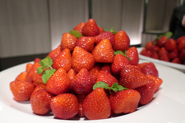 福岡一個撐滿活力的城市(圖/福澤喬攝)