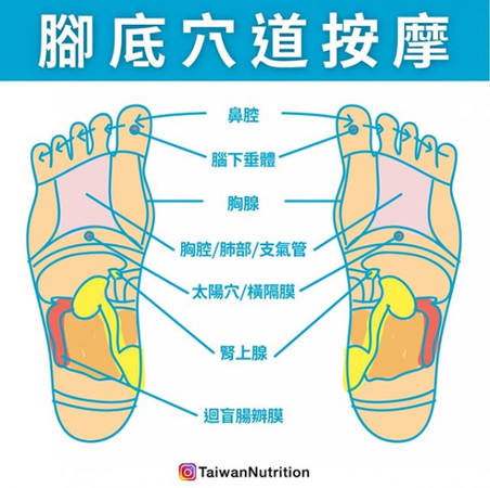 ▲腳底按摩。(圖/《Taiwan Nutrition台灣營養》授權提供)