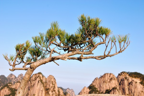 ▲登黃山天下無山徽式懷舊風光韻味濃▼             。（圖／Shutterstock.com 提供）