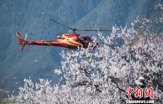 ▲▼西藏林芝桃花節上的觀光直升機             。（圖／翻攝自中新網）