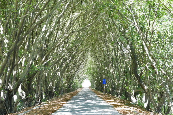 ▲屏東縣隘寮溪堤防自行車道。（圖／屏東縣政府提供）