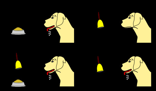 狗狗口水制約實驗　最初實驗對象竟是親弟弟！母親怒：為什麼餓他（圖／wikipedia）