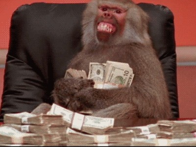 猴子經濟學研究：當牠們學會用錢　接著就是買春、賭博