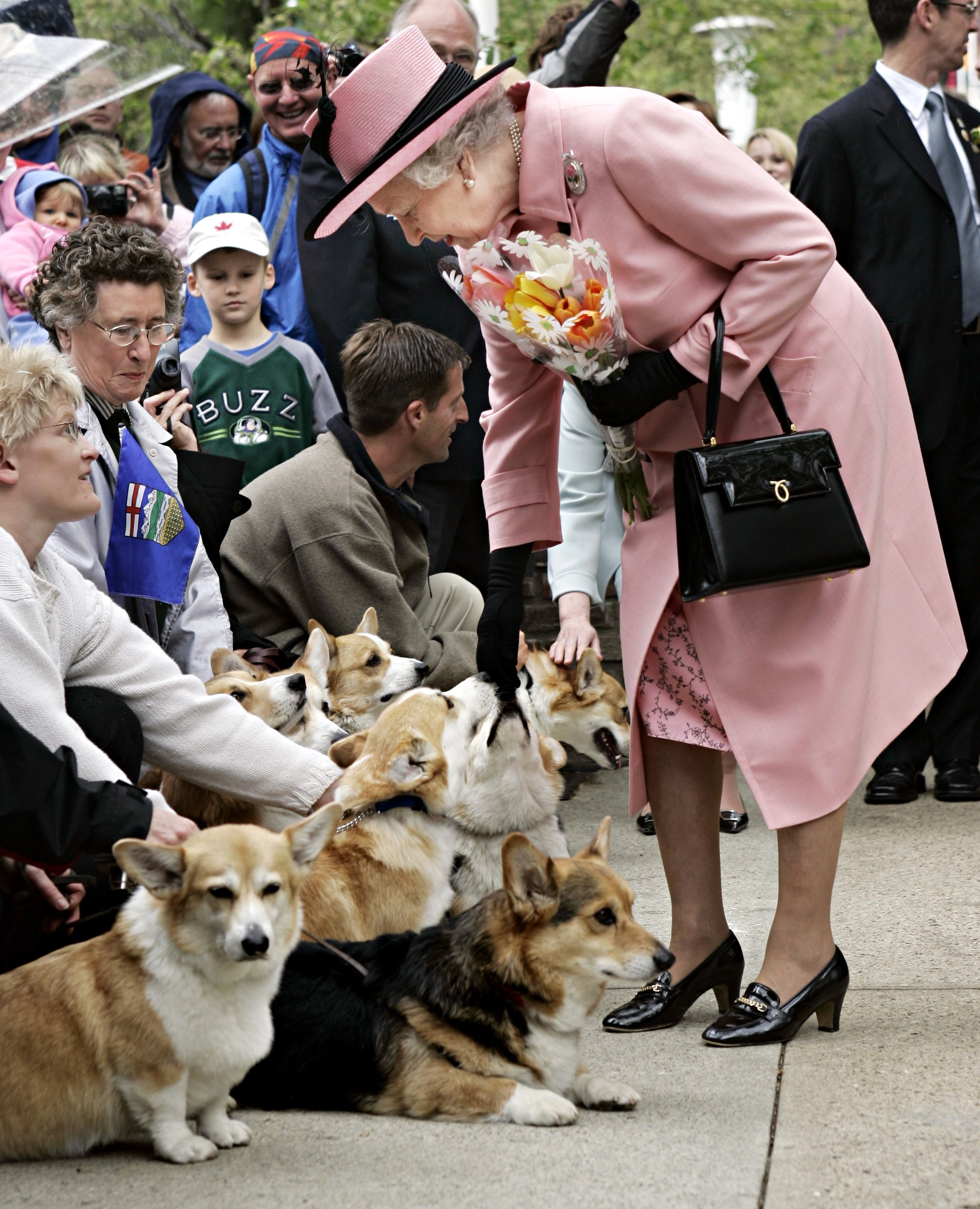 ▲英國女王相當喜歡狗，本身也養了許多隻柯基犬。（圖／達志影像／美聯社）