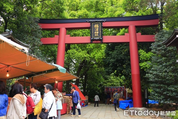 ▲▼東京根津神社杜鵑花。（圖／記者蔡玟君攝）