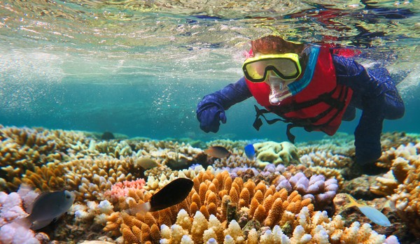 ▲▼觀光業是大堡礁重要的經濟活動，每年約有十億美元的產值。。（圖／達志影像）