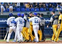 （圖／記者李毓康攝）