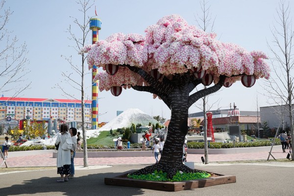 ▲日本樂高櫻花樹。（圖／LEGOLAND Japan （レゴランド・ジャパン）粉絲頁）