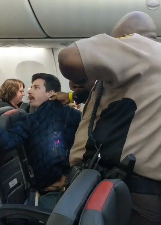 ▲▼美國航空乘客被控伸鹹豬手，被逮捕帶下飛機。（圖／翻攝自推特／@PoleVaultDream）
