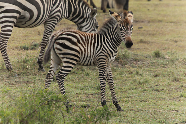 (圖/亞洲旅遊台提供)