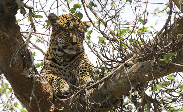 (圖/亞洲旅遊台提供)