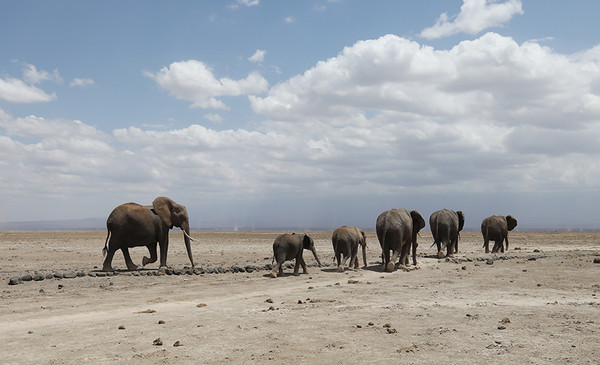 (圖/亞洲旅遊台提供)
