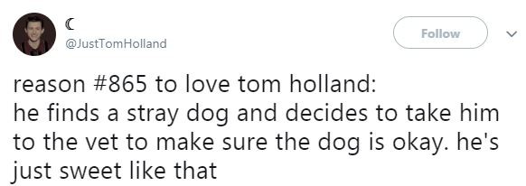 湯姆霍蘭德幫流浪狗找主人　網友：我知道他為什麼是蜘蛛人了（圖／Instagram@tomholland2013）
