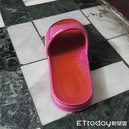 不能亂尿尿哦!神犬阿金超聽話。(圖/網友賴怡臻提供,請勿隨意翻拍,以免侵權。)