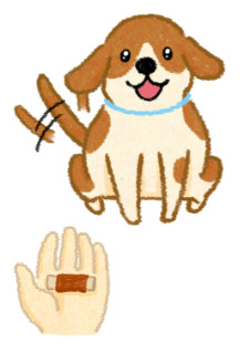 ▲毛起來配圖。