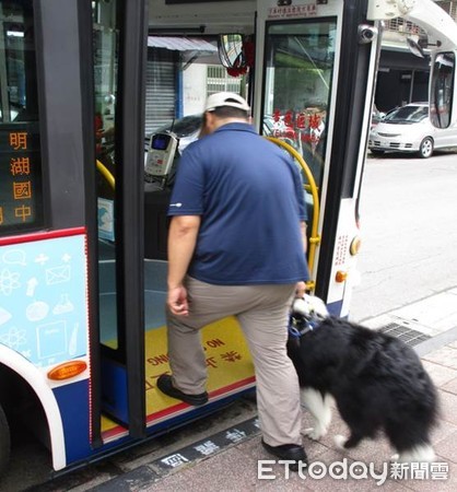 ▲北市友善狗狗公車。（圖／北市公運處提供）