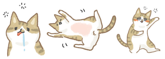 ▲毛起來配圖。