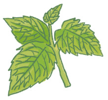 ▲毛起來配圖。