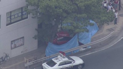 90歲女駕駛「以為紅燈也能過」撞飛6人　數據：開車也倚老賣老