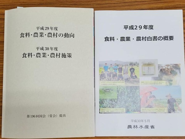 淡江學生阿蘇實習。(圖/福澤喬 攝)