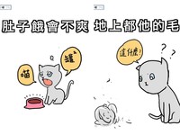 ▲女人跟貓一樣插畫（圖／臉書粉絲專頁「動物辛球」授權提供）