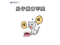 3.肚子餓會不爽