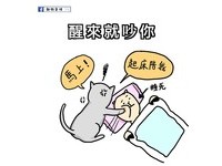 4.醒來就吵你，女人跟貓一樣，地位比較高（？）在她睡覺時，千萬不能吵，但若她睡醒了，就會想要你起床陪她玩、出去走走，但應該有例外吧～