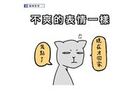 5.不爽的表情一樣，女人不爽時，會擺出一副冷淡又厭世的表情，跟貓一模一樣，你同意嗎？