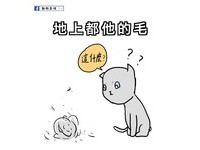 7.地上都她的毛，跟貓一樣很會掉毛，地上都是女人的長髮，若家裡再養貓的話，你就認份每天打掃家裡吧～
