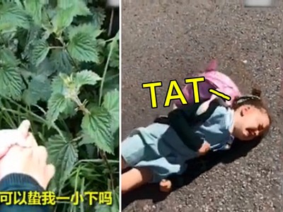 把拔我想被蕁麻刺！小女兒好奇心爆發拗不過...3分後哭到躺馬路