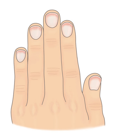 ▲指甲給的健康報告書摘圖。(圖/大塊文化提供)