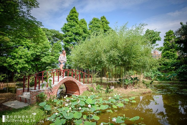 ▲桃園蓮荷園休閒農場坐大王蓮。（圖／滿分的旅遊札記提供）