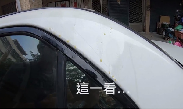 狗尿尿在車頂。（圖／翻攝自宮能安 Kung臉書）