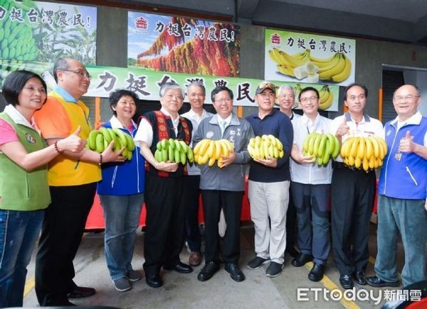 ▲義美採購200公噸香蕉，宣示支持蕉農，穩定香蕉價格。（圖／桃園市政府提供）
