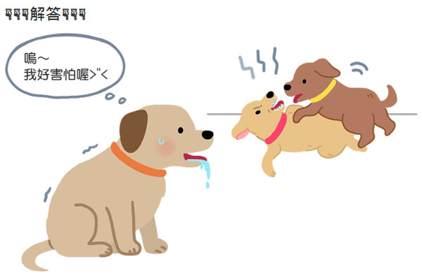 ▲毛起來配圖。